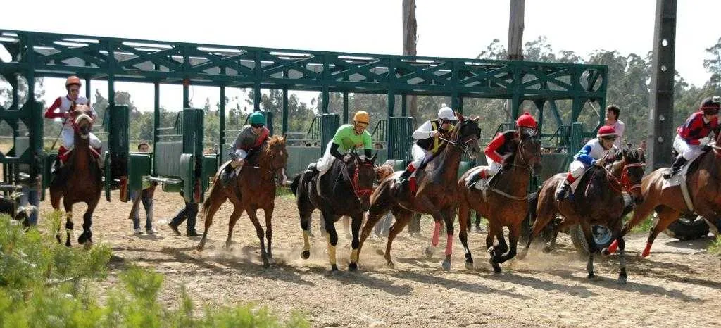 Centro Equestre da Maia 1